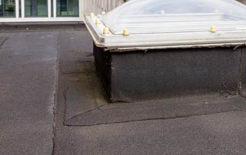 disadvantages of Lowdham flat roofs