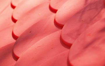 Lowdham plastic roof costs