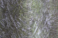 Lowdham fibreglass roof work